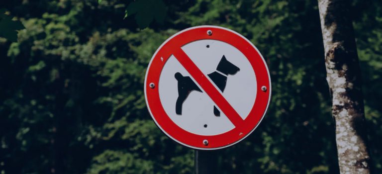 The Dangerous Dogs Act: Time To Call Off the Dogs? - Reeds Solicitors