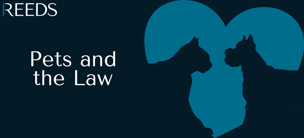 Pets and the Law - Reeds Solicitors